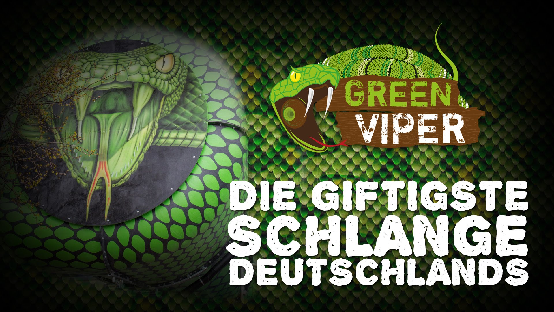 Europabad Karlsruhe - Green Viper Erlebnis-Rutsche NEU 2015!